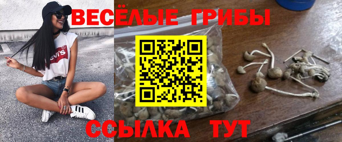 Галлюциногенные грибы Cubensis Старая Купавна